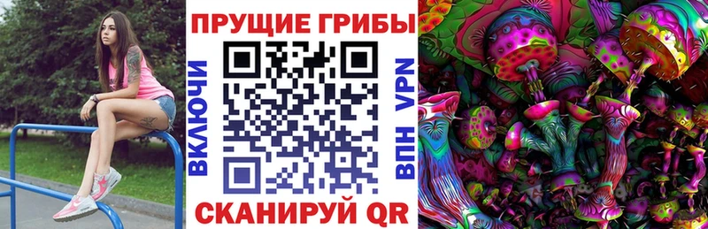 Галлюциногенные грибы Psilocybe  Кимры 